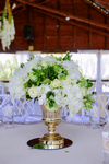 Party Rental Los Angeles CA